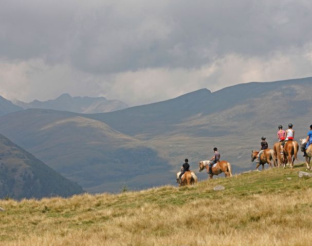 Vacanza a cavallo Alto Adige maneggio Sulfner Avelengo